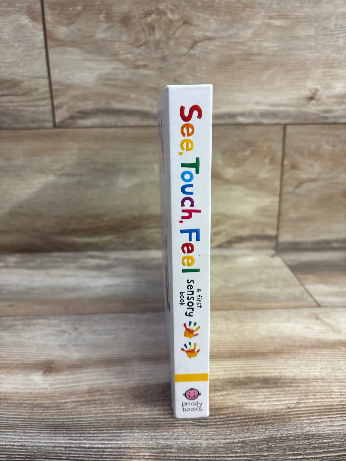 See, Touch, Feel: A First Sensory Board Book