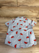 Old Navy Watermelon Print Button-Up Oxford Shirt Blue sz 4T