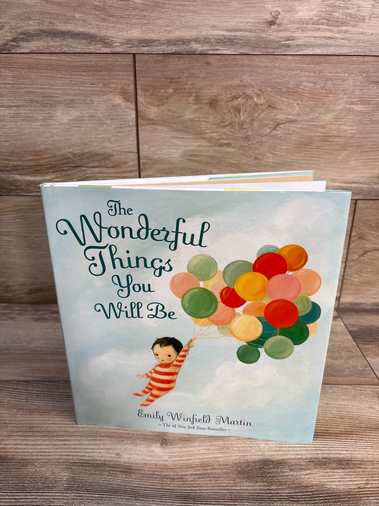 The Wonderful Things You Will Be Hardcover Book