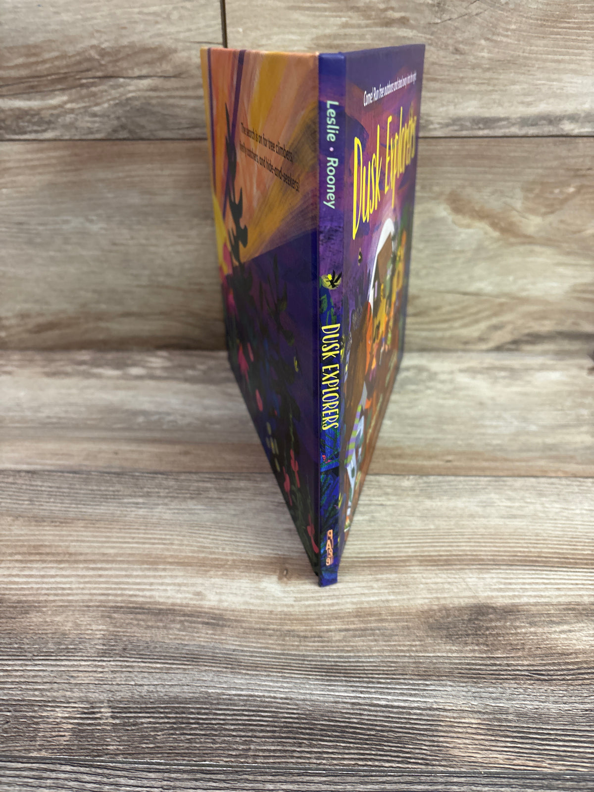 Dusk Explorers Hardcover Book