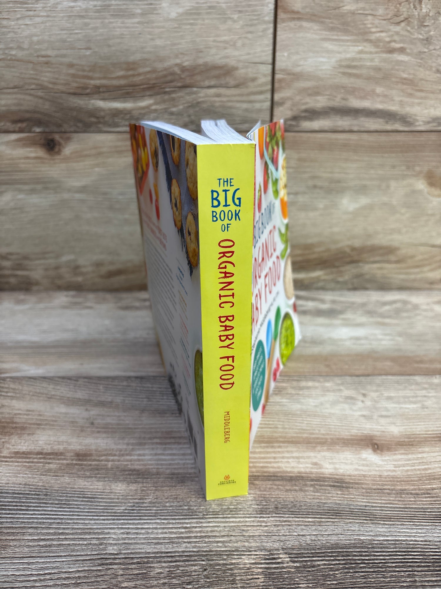 The Big Book of Organic Baby Food Paperback Book
