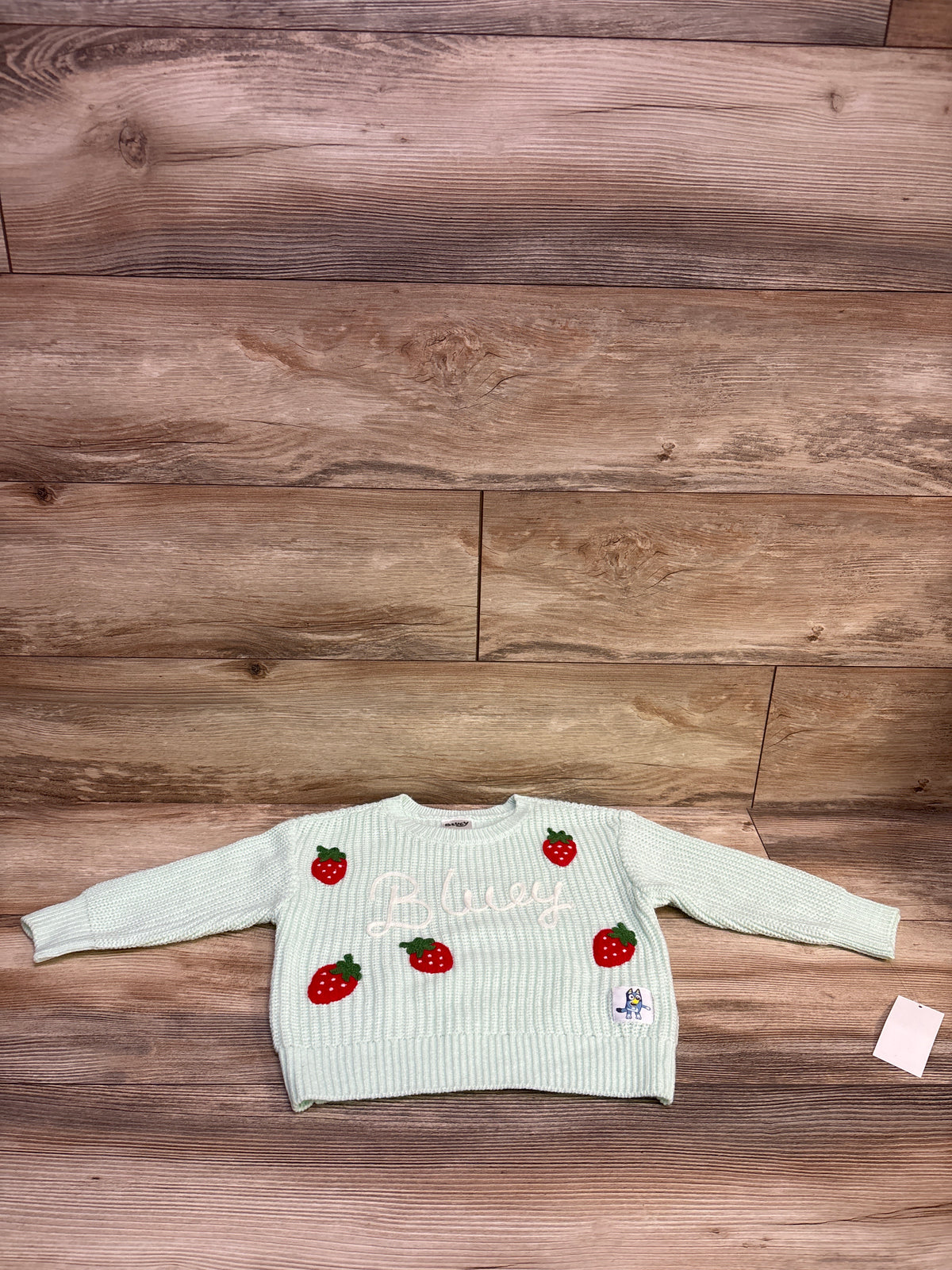 NEW Bluey Embroidered Strawberry Knit Sweater Mint Green sz 3T