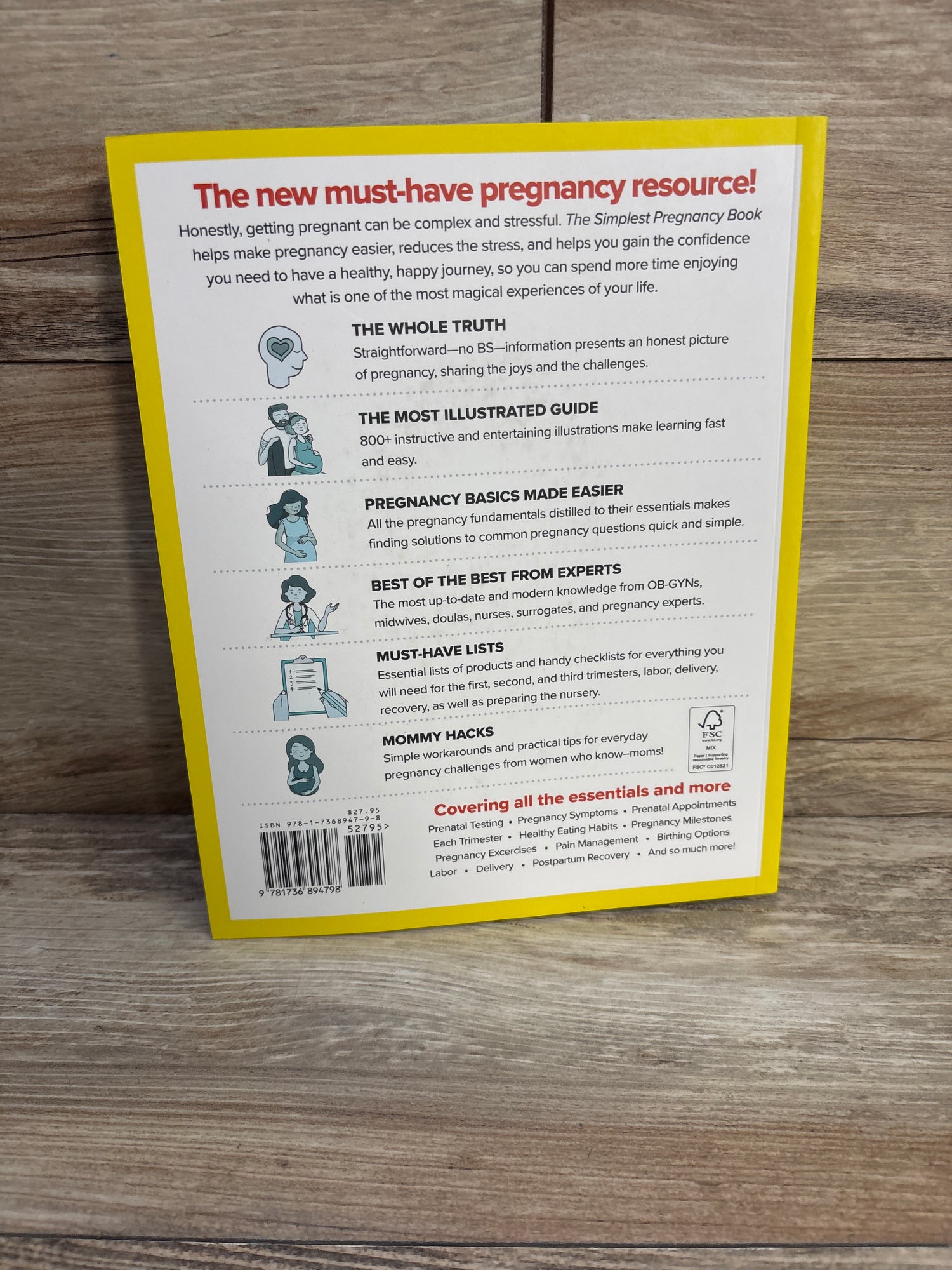 The Simplest Pregnancy Book in the World Paperback Book