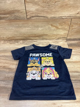 PAW Patrol Active Shirt Blue sz 3T