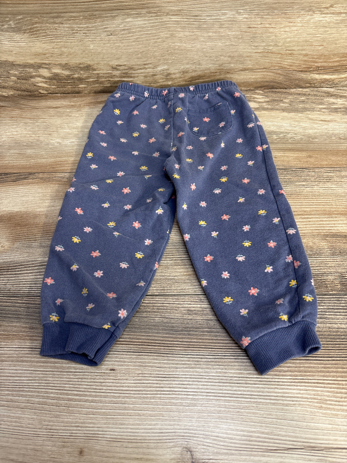 Carter's Floral Joggers Blue sz 24m