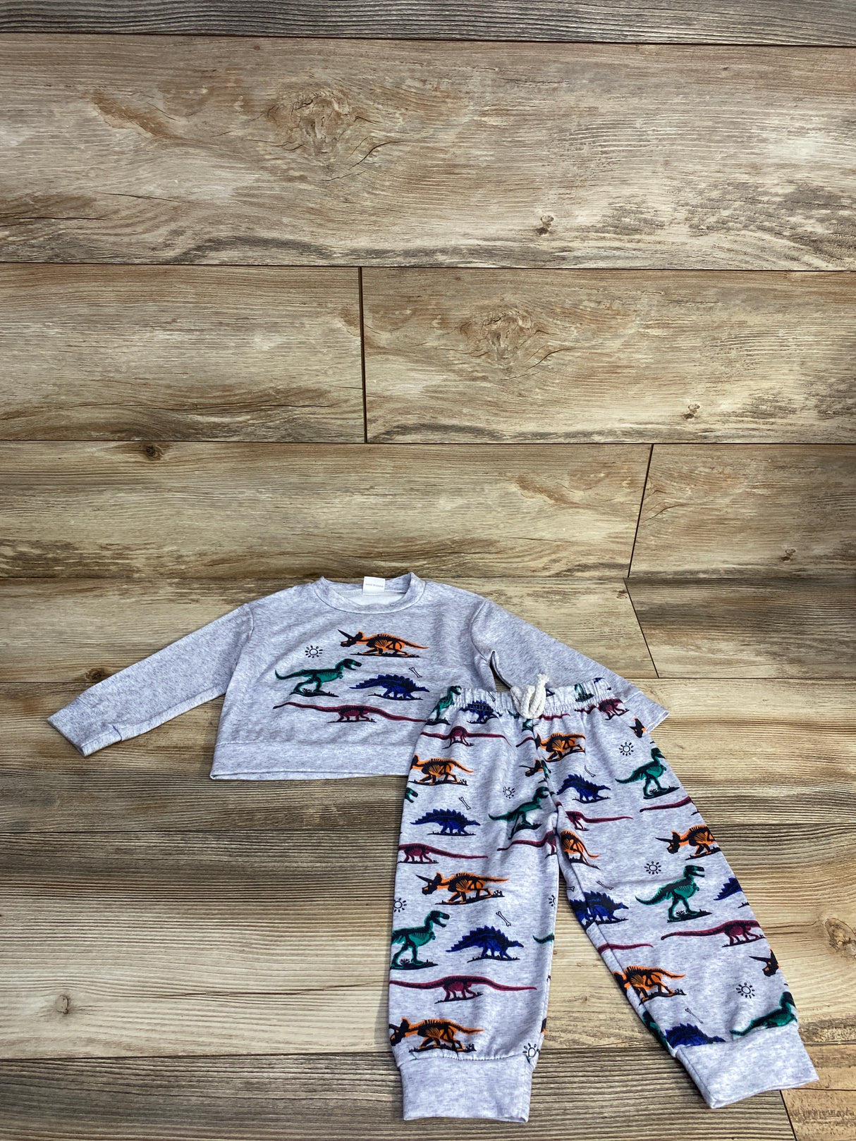 2pc Dinosaur Sweatshirt & Joggers Grey sz 9-12m