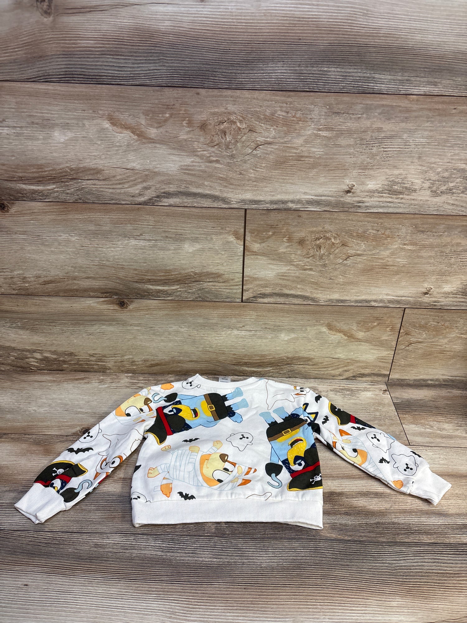 Bluey Halloween Pullover Sweatshirt White sz 2T