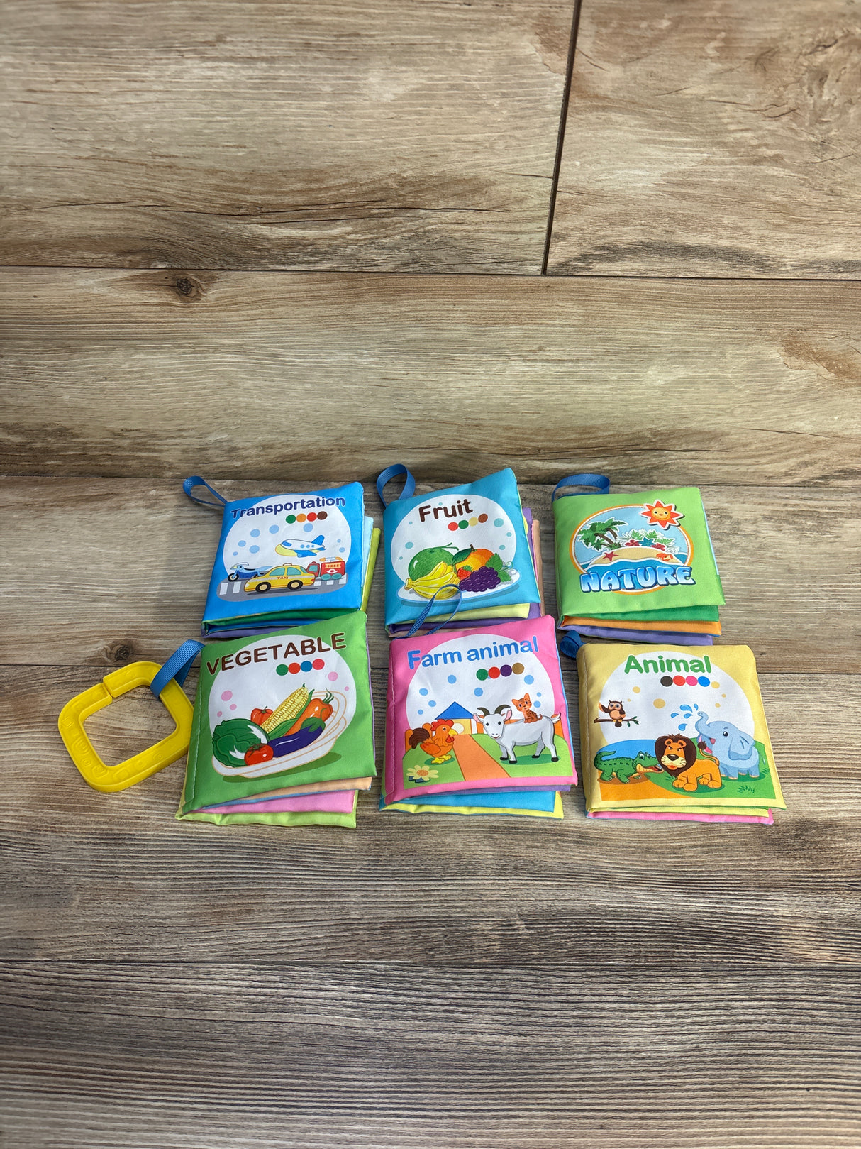 Teytoy 6Pc My First Soft Crinkle Cloth Book