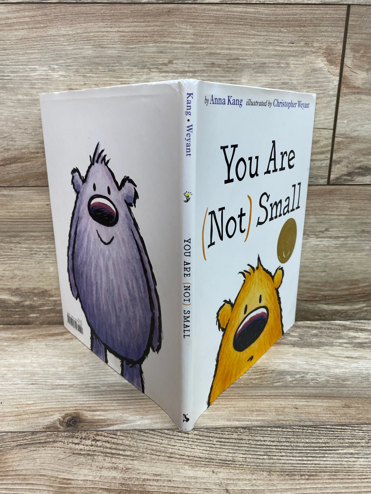 You Are Not Small - Hardcover By Anna Kang