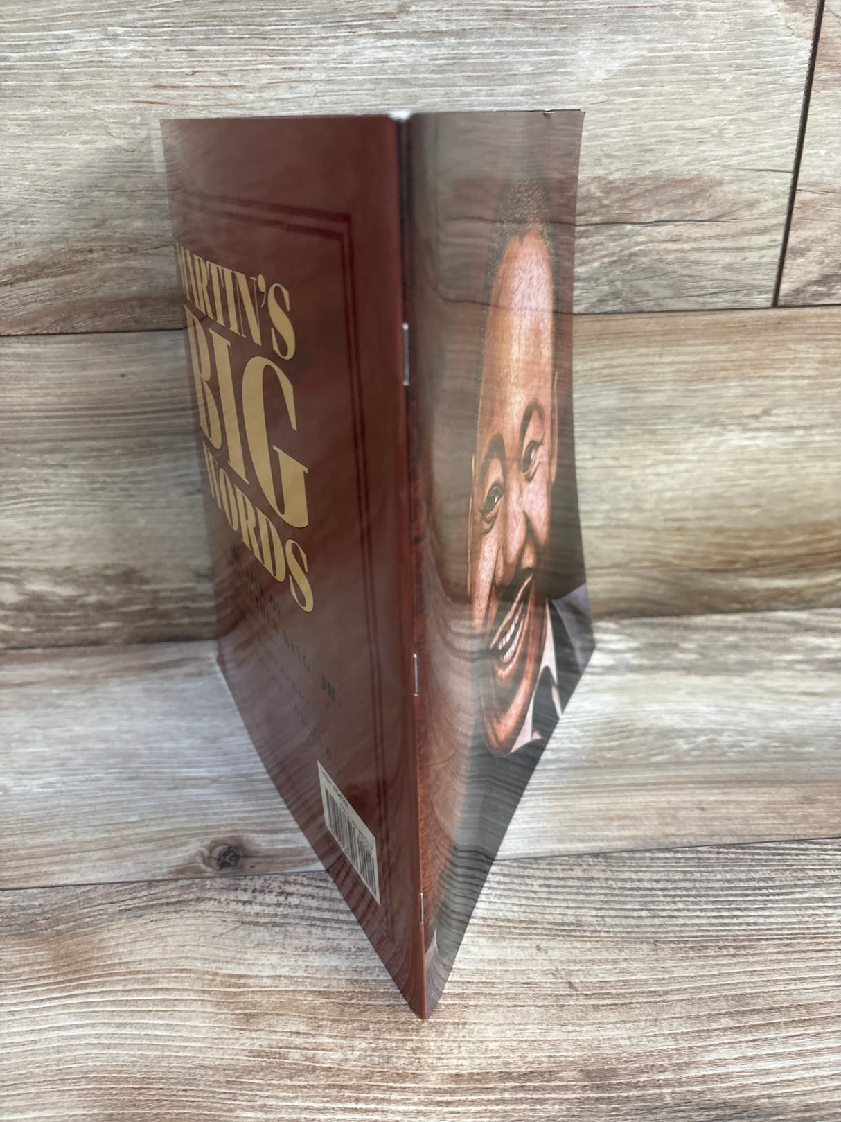 Children’s hardcover book titled 'Martin's Big Words' standing on wood surface