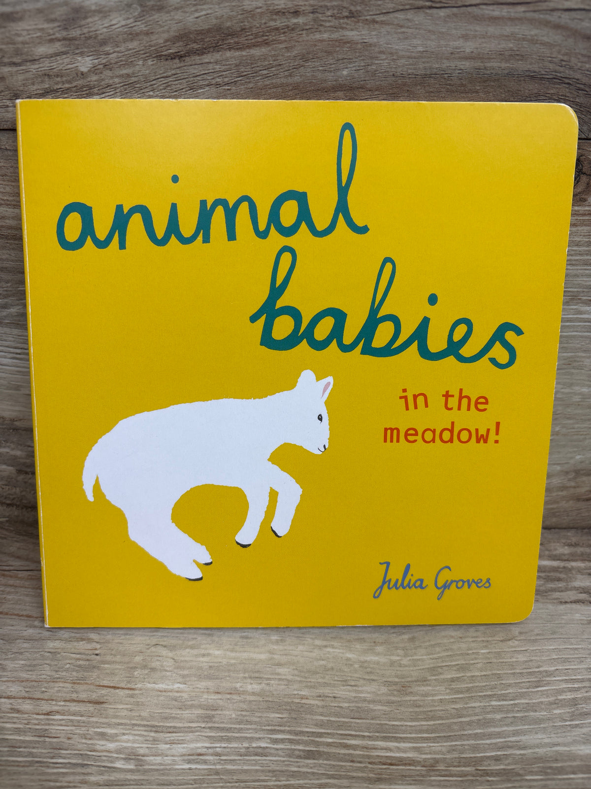 Animal Babies in the Meadow! Board Book