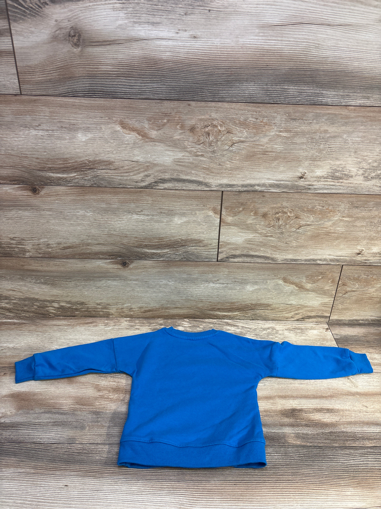 HILEELANG Floral Sweatshirt Blue sz 2T