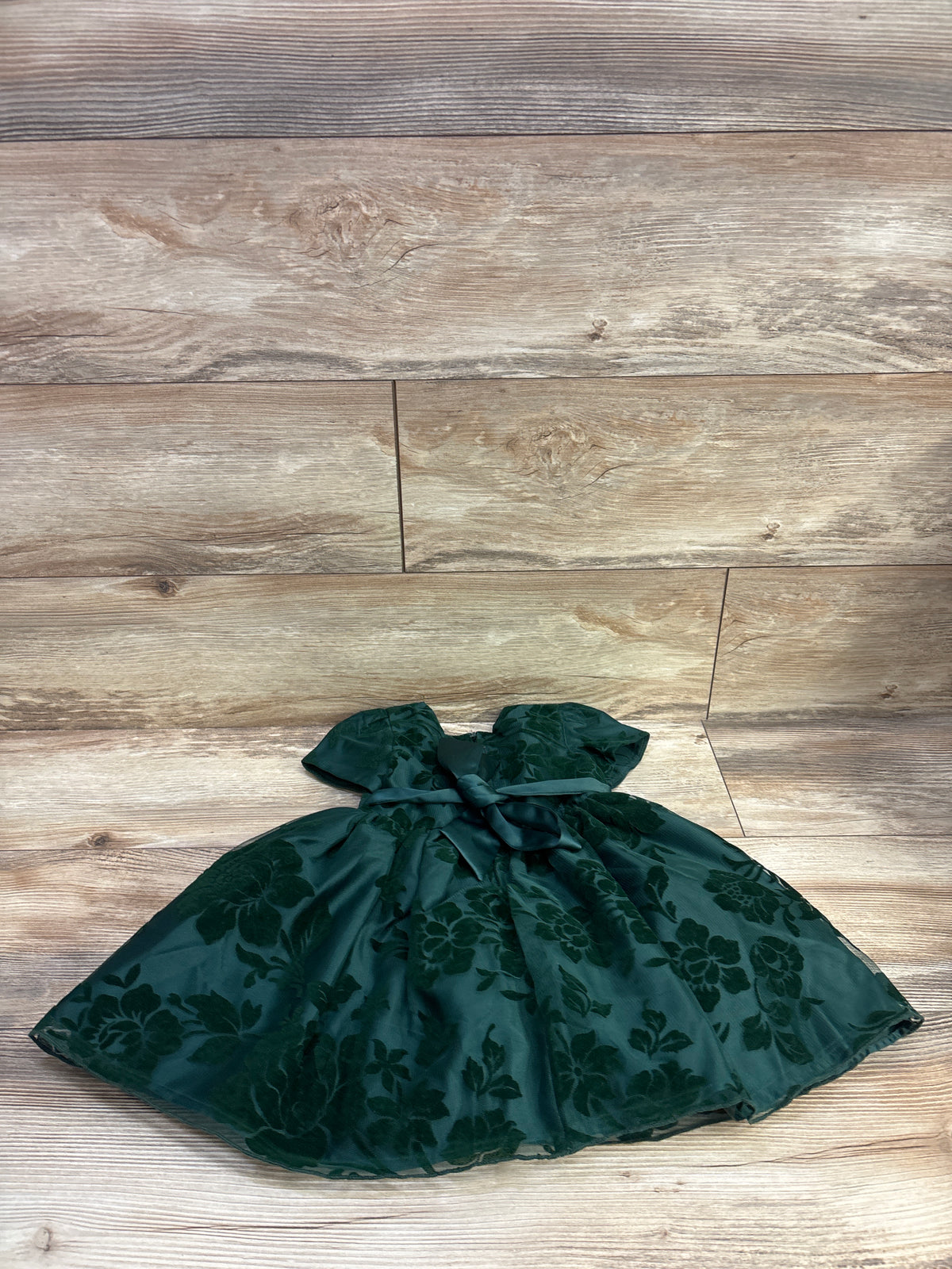 Katie M Embroidered Floral Tulle Dress Green sz 2T