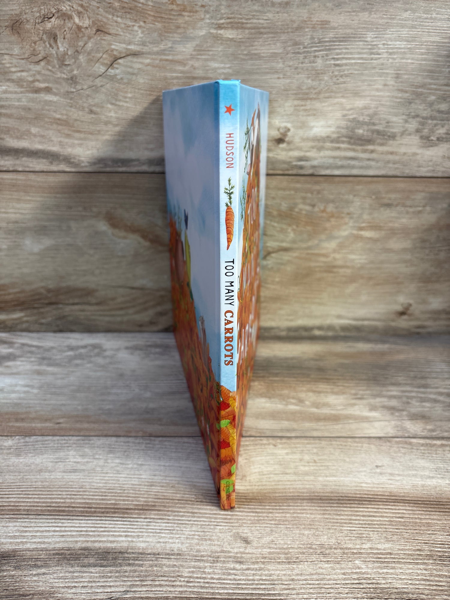 Too Many Carrots Hardcover Book