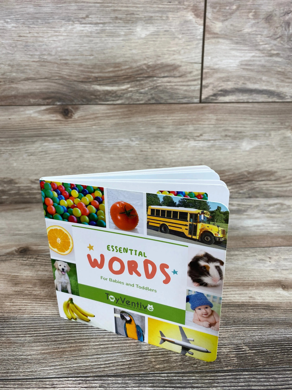 Essential Words for Babies And Toddlers Board Book ToyVentiv