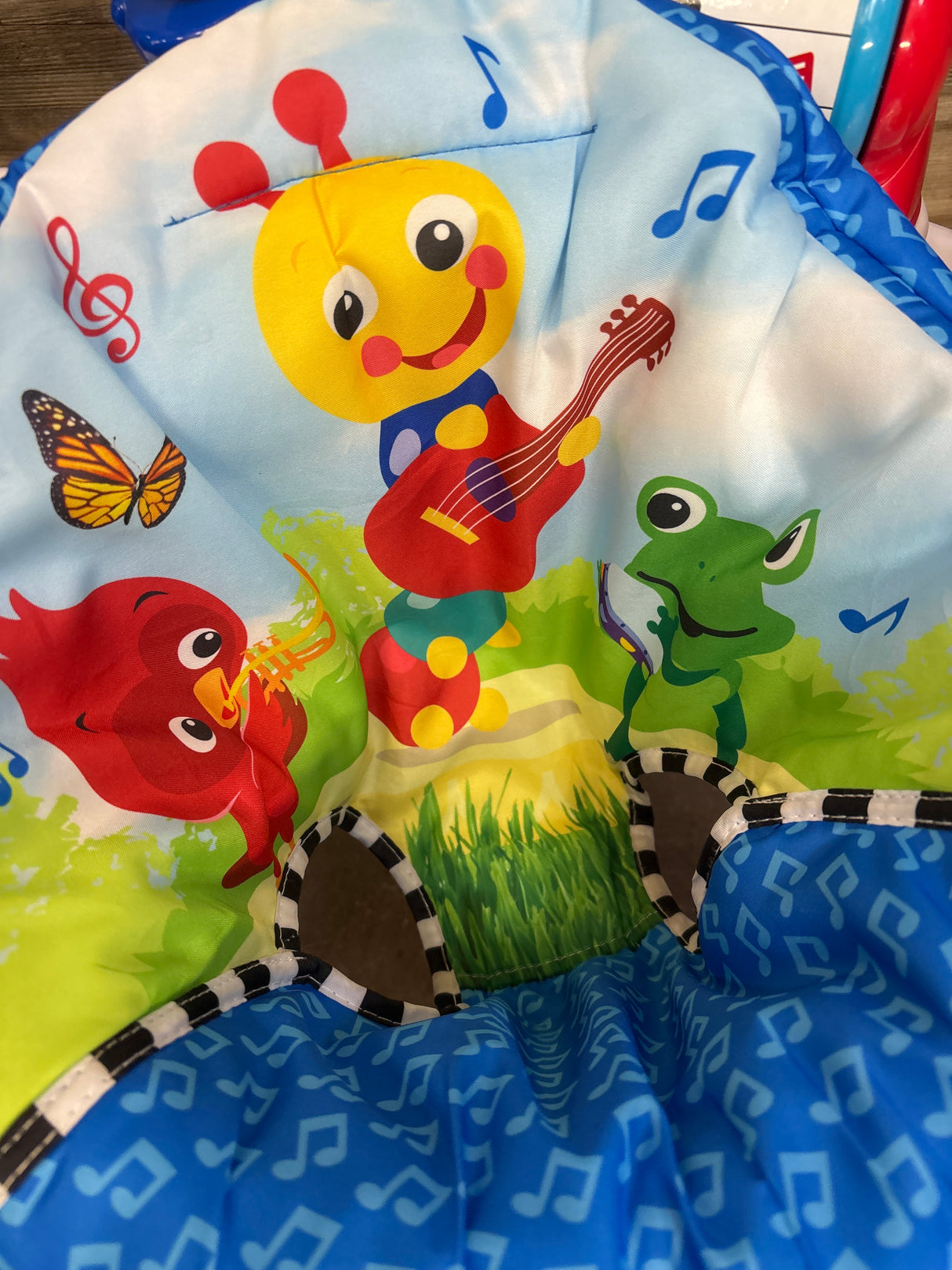 Baby Einstein Neighborhood Symphony Activity Jumper