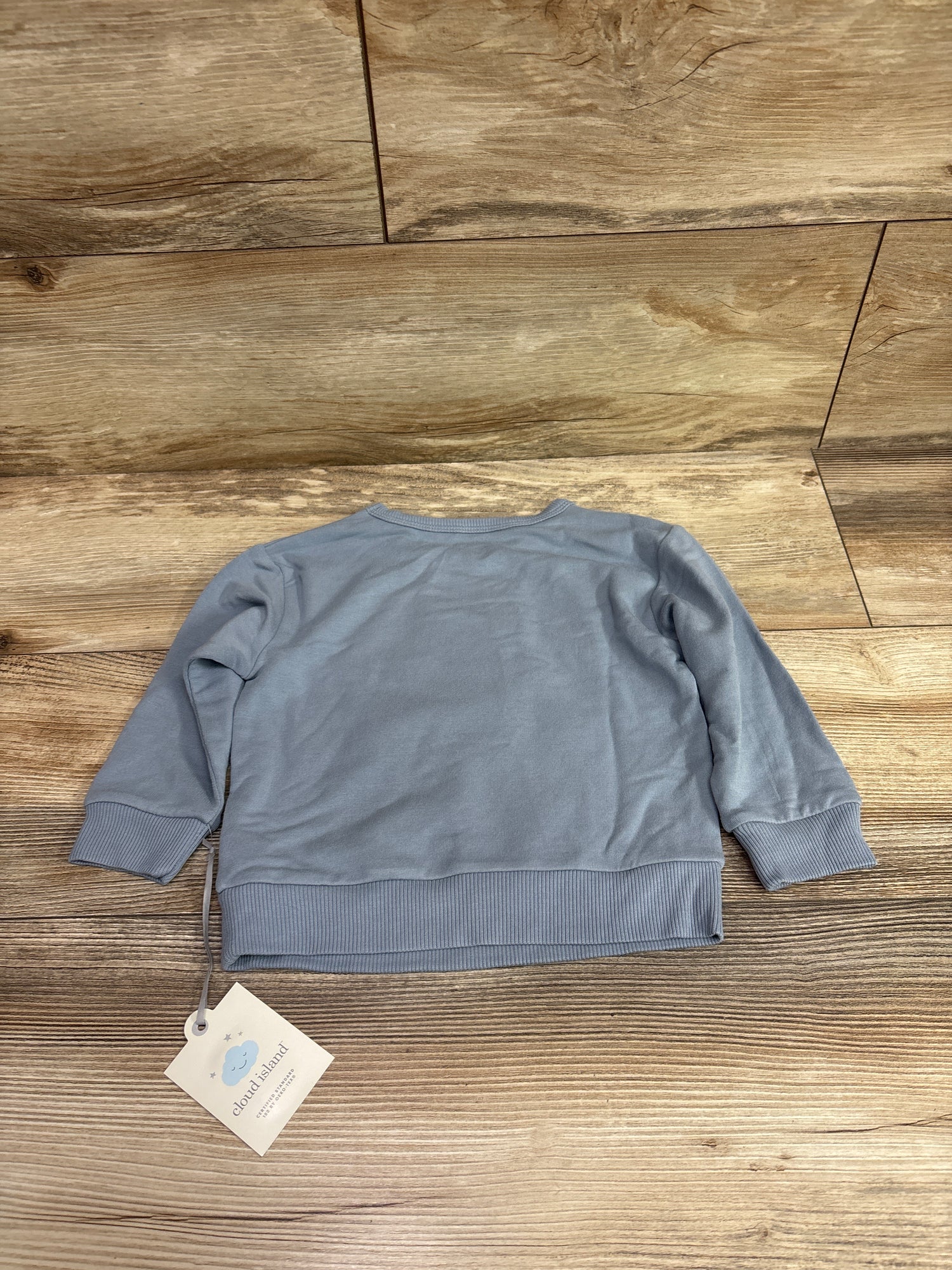 NEW Cloud Island Pullover Bear Sweatshirt Blue sz 18m