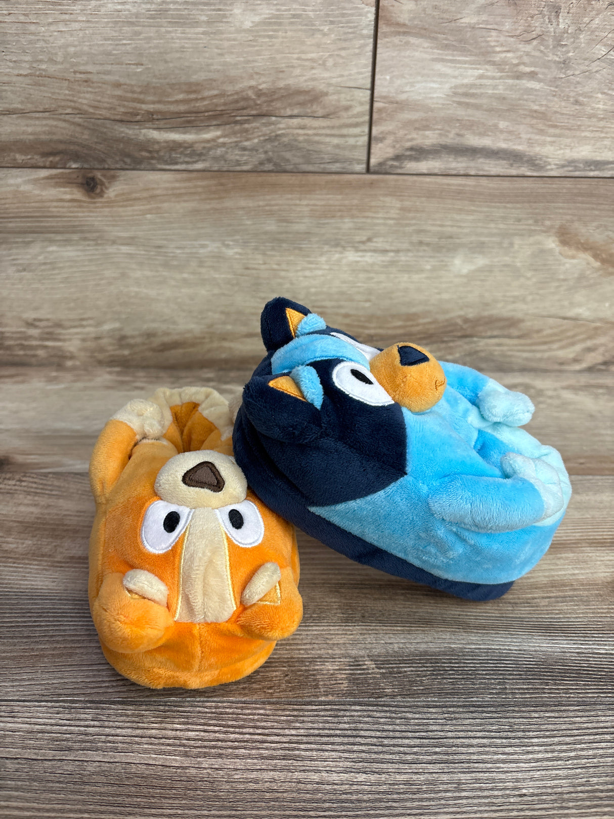 Bluey & Bingo Slippers sz 9/10c