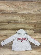 NBA Chicago Bulls Pullover Hoodie Grey sz 2T