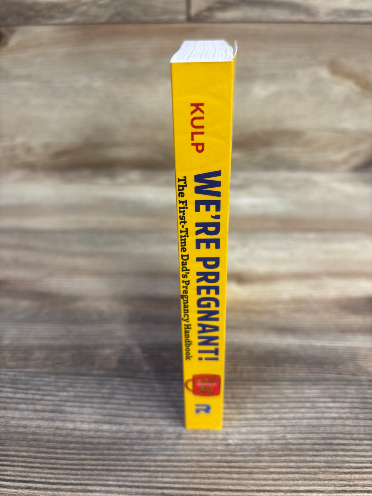 We're Pregnant! The First Time Dad's Pregnancy Handbook Paperback Book