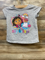 Gabby's Dollhouse Shirt Grey sz 2T