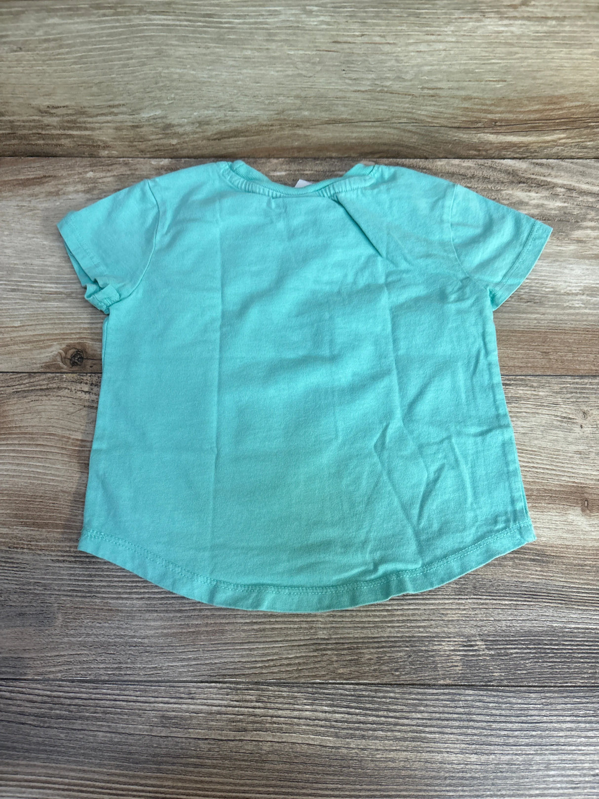 Hanna Andersson Cactus Shirt sz 2T - Me n Mommy To Be