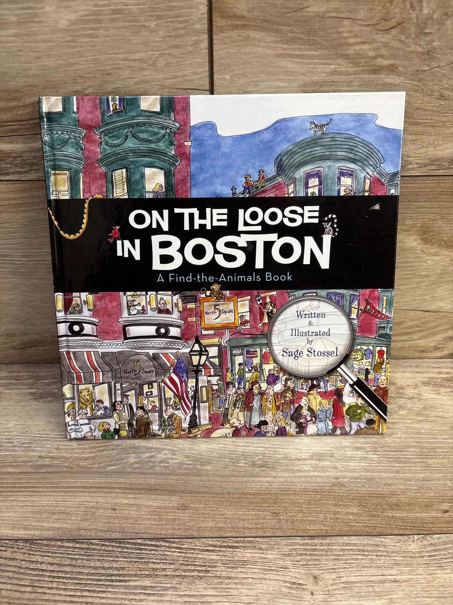 On the Loose in Boston: A Find-The-Animals Hardcover Book