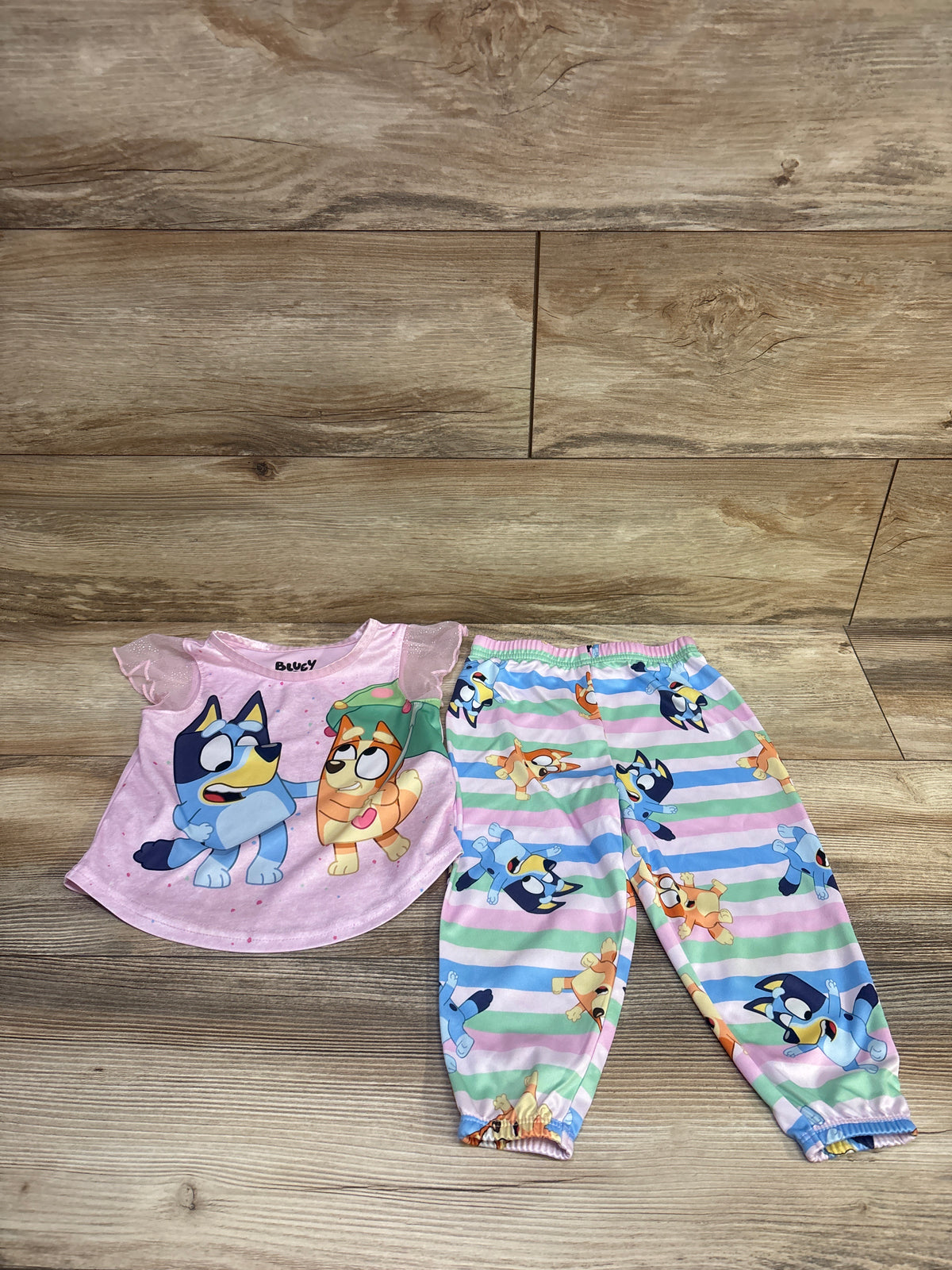Bluey 2pc Pajama Set Pink sz 2T