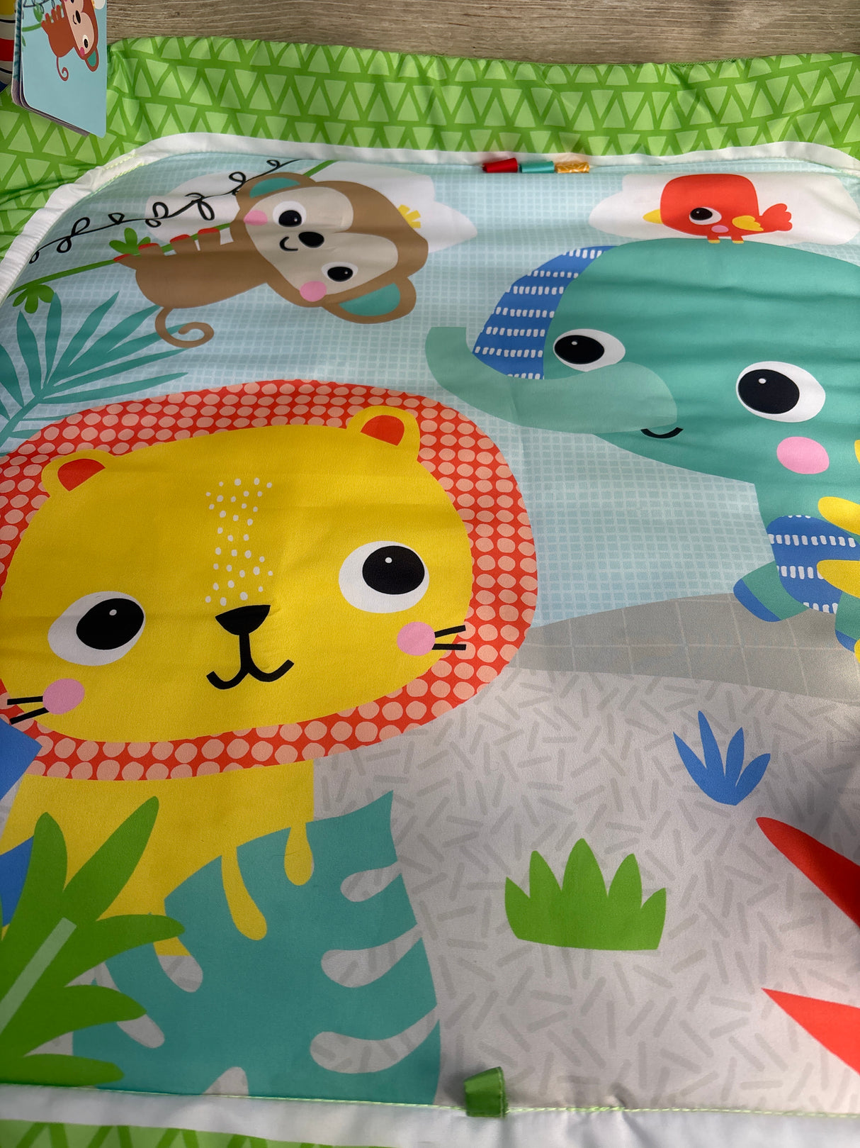 Bright Starts Wild Wiggles Baby Activity Gym & Play Mat