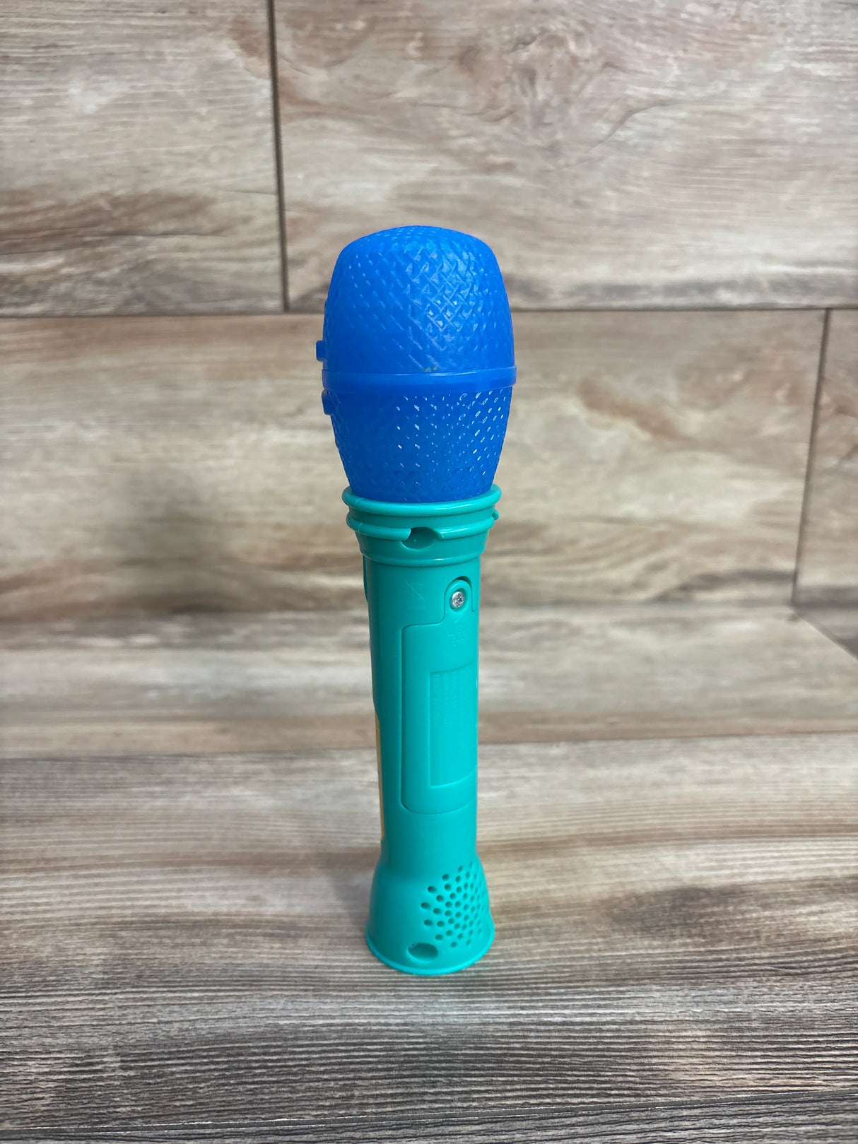 Ms. Rachel Sing Along Microphone