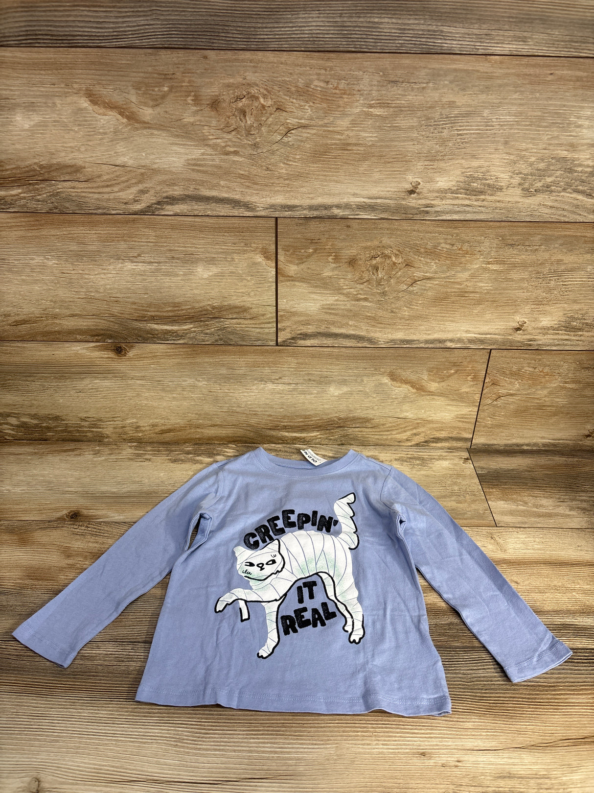 NEW Old Navy Crepin' It Real Halloween Shirt Blue sz 4T