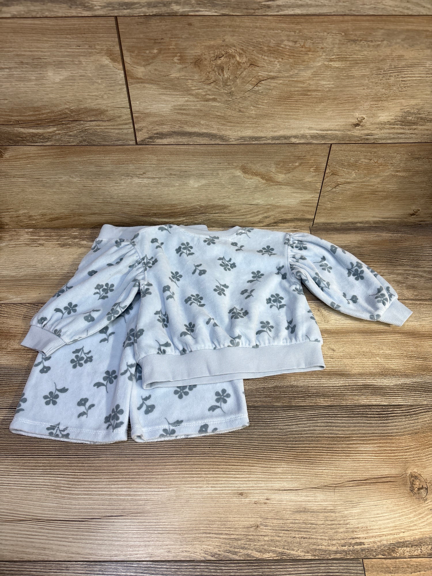 Cat & Jack 2pc Floral Sweatshirt & Joggers Set Blue sz 18m