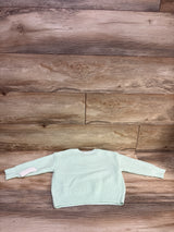 NEW Bluey Embroidered Strawberry Knit Sweater Mint Green sz 3T