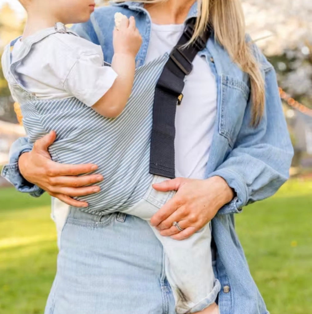 NEW Wildride Soft Toddler Carrier Hip Seat Carrier in Denim Stripe