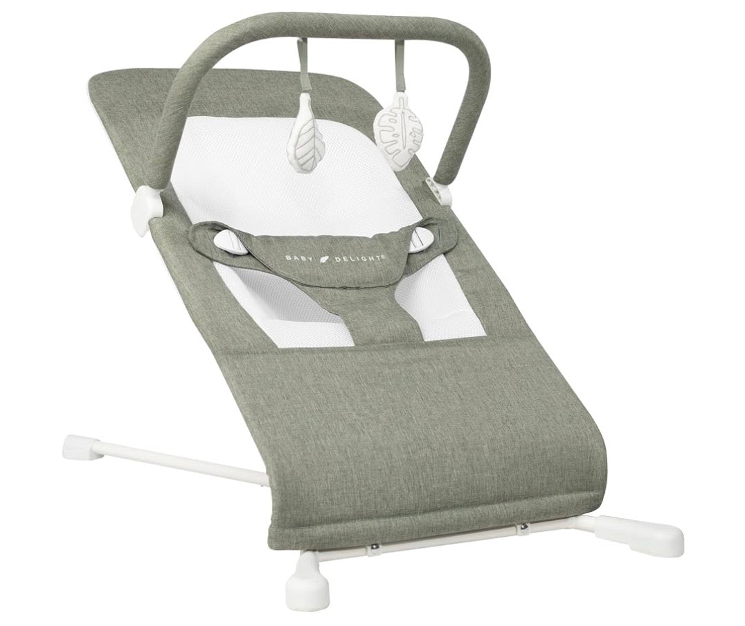 NEW Baby Delight Highland Portable Bouncer in Sage Tweed