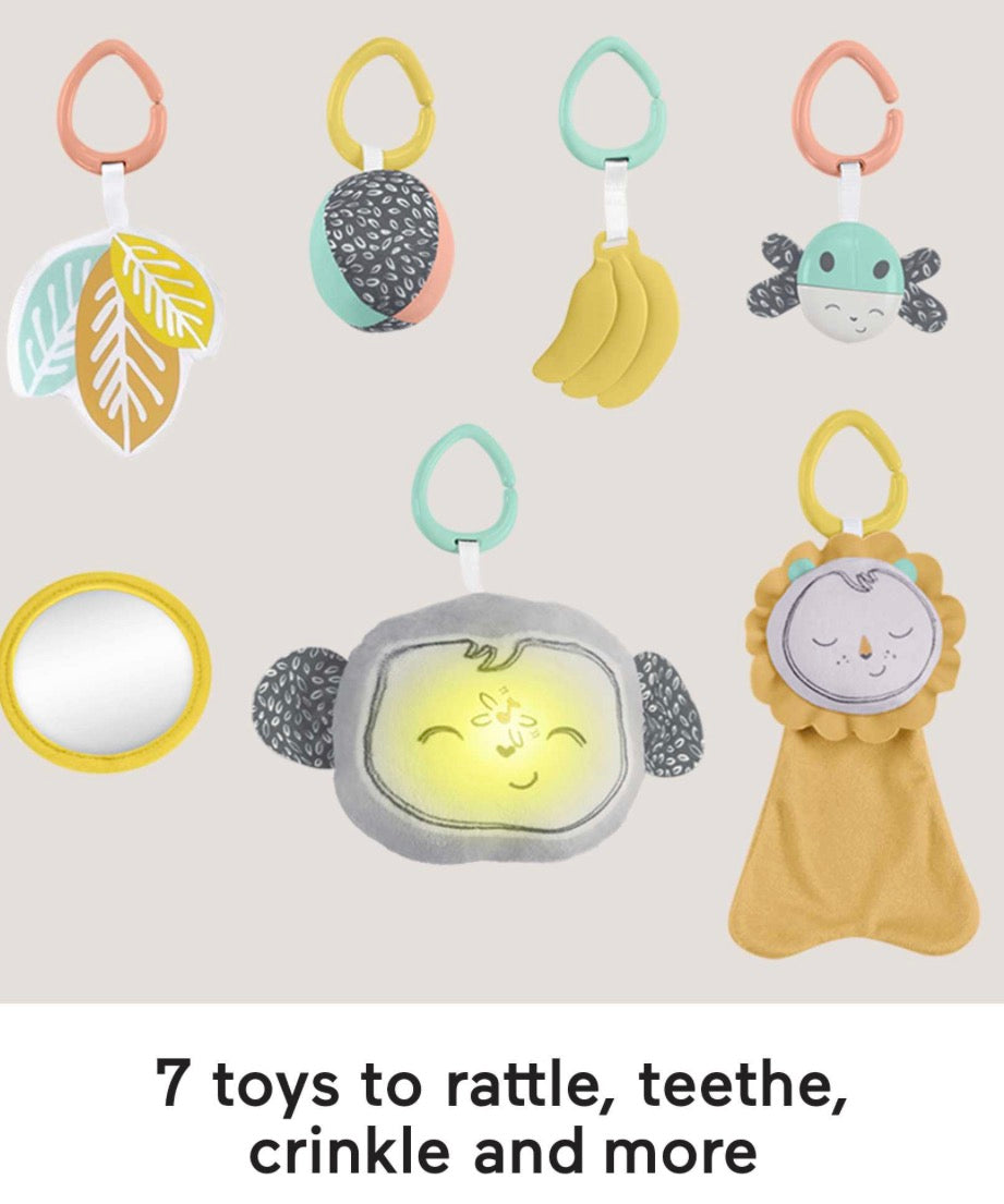 NEW Fisher Price Snugamonkey Go Bananas Activity Gym