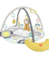 NEW Fisher Price Snugamonkey Go Bananas Activity Gym