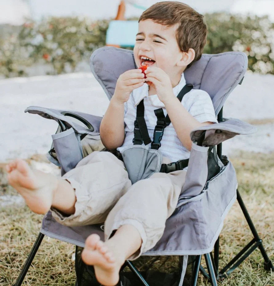 NEW Baby Delight Go With Me Venture Portable Chair Grey