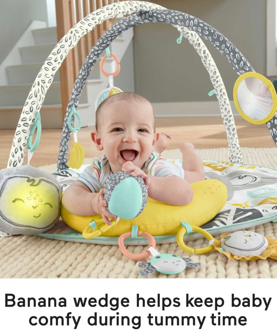 NEW Fisher Price Snugamonkey Go Bananas Activity Gym