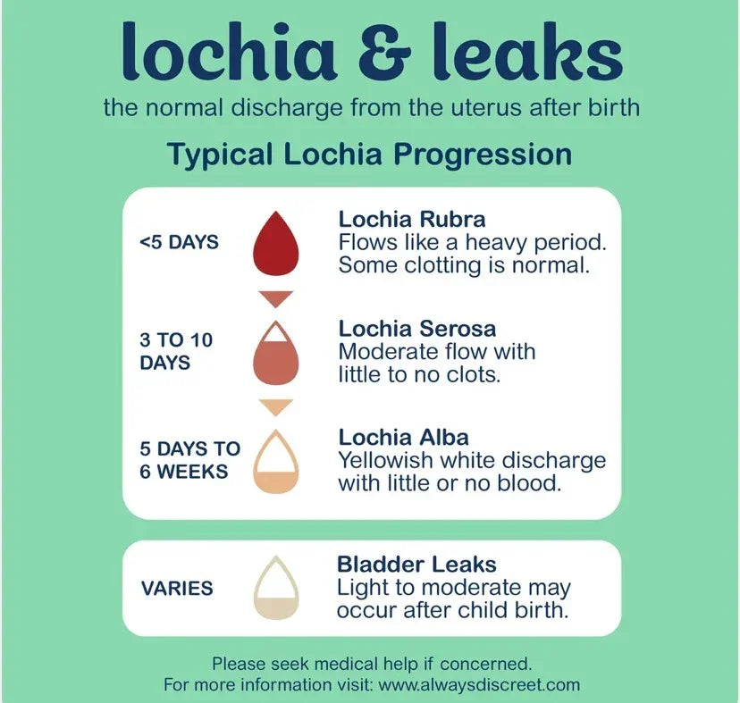 Infographic Lochia and leaks showing lochia progression: Rubra, Serosa, Alba; notes bladder leaks may occur