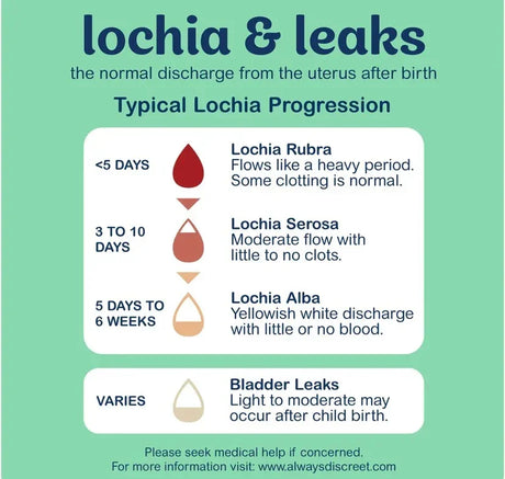 Infographic Lochia and leaks showing lochia progression: Rubra, Serosa, Alba; notes bladder leaks may occur