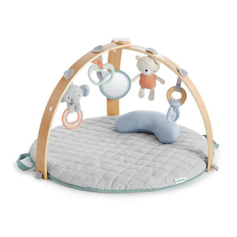 NEW Ingenuity Cozy Spot Reversible Duvet Activity Gym in Loamy - Me 'n Mommy To Be