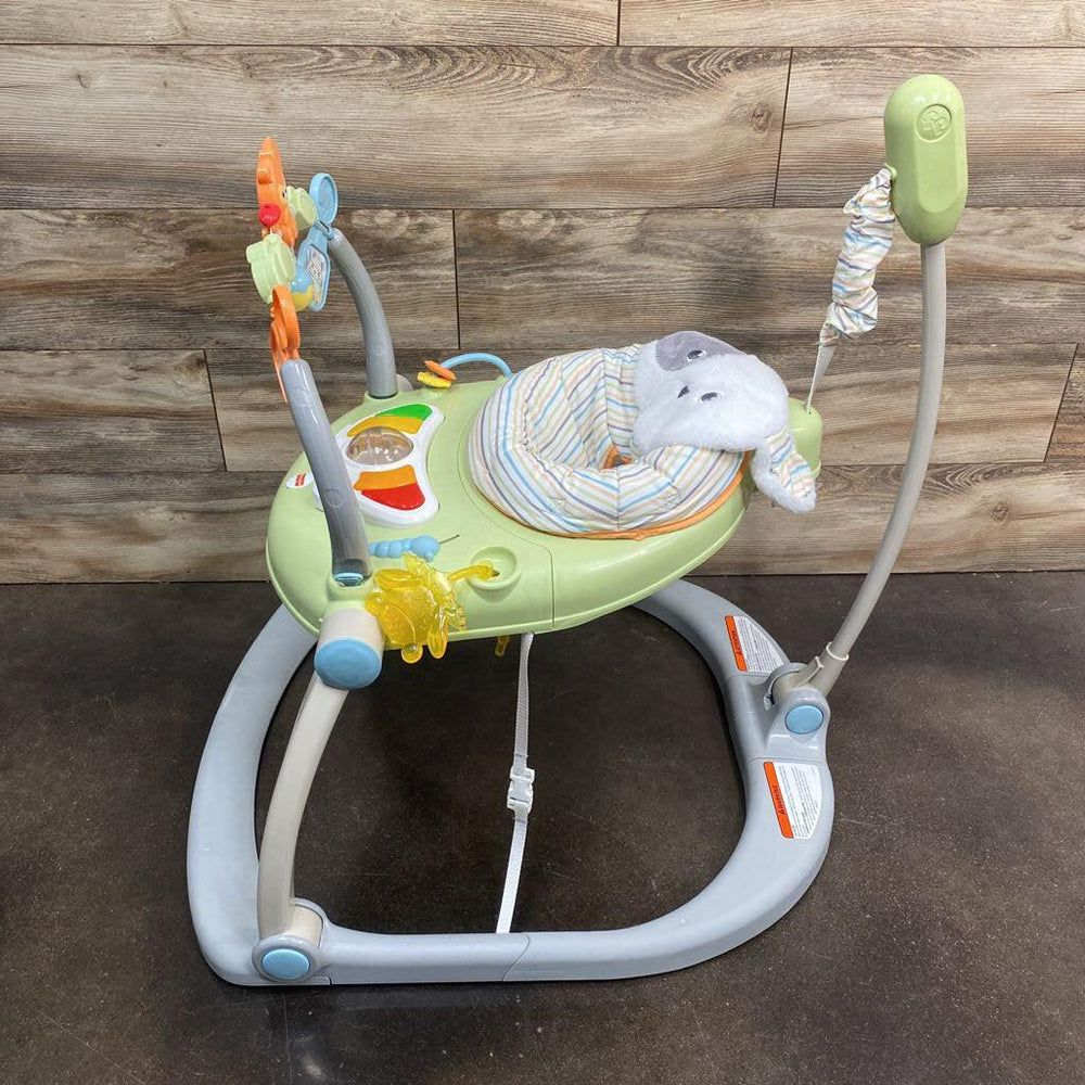 Fisher Price Snugapuppy SpaceSaver Jumperoo - Me 'n Mommy To Be