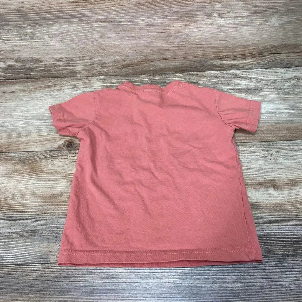 Unordinary Toddler Big Sister Shirt sz 12M - Me 'n Mommy To Be