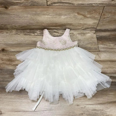 American Princess Floral Tulle Dress sz 24m - Me 'n Mommy To Be