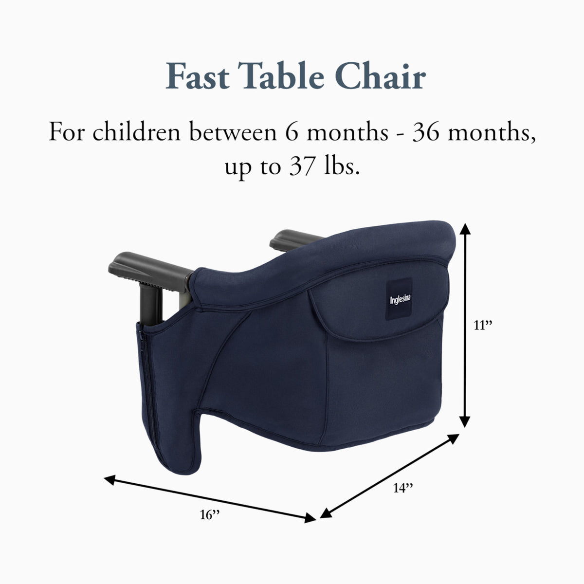 NEW Inglesina Fast Table Chair Navy