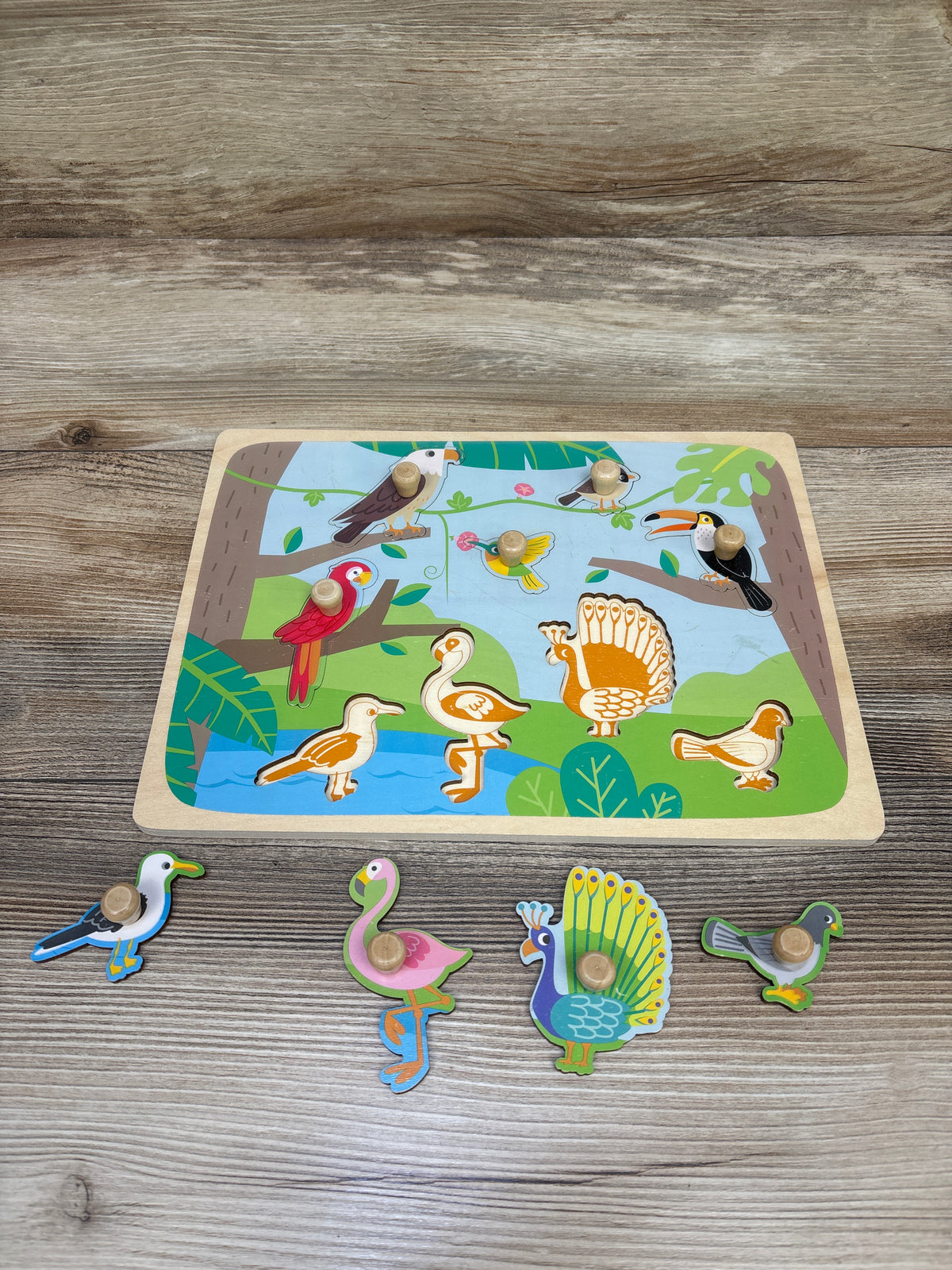 HILABEE Bird Wooden Peg Puzzle 9pc