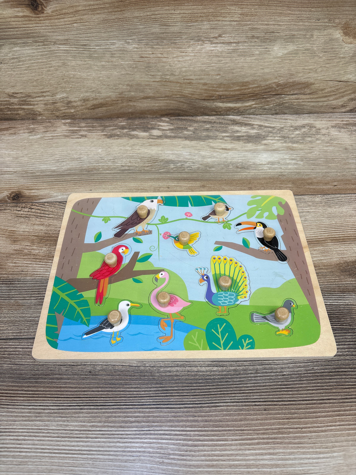 HILABEE Bird Wooden Peg Puzzle 9pc
