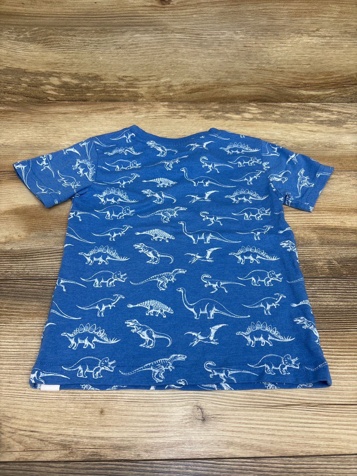 Free Planet Dinosaur Shirt Blue sz 4T