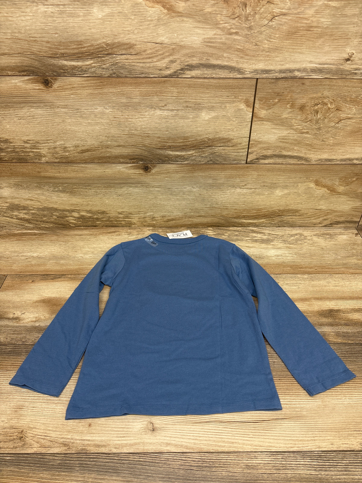 NEW Children's Place Pumpkin Patch Shirt Blue sz 5T
